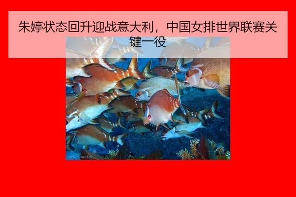 zhu-ting-zhuang-tai-hui-sheng-ying-zhan-yi-da-li-zhong-guo-nv-pai-shi-jie-lian-sai-guan-jian-yi-yi-2-663.jpg
